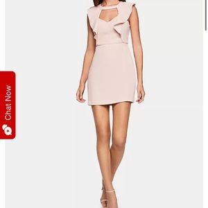 Bcbgeneration light pink dress